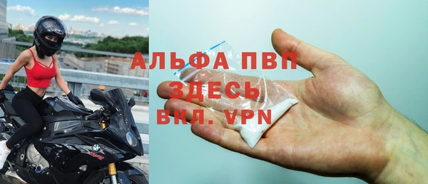 индика Абинск