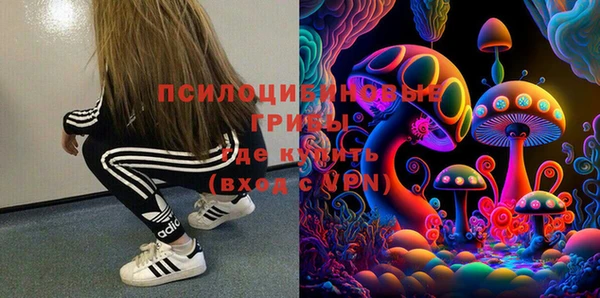 ГАЛЛЮЦИНОГЕННЫЕ ГРИБЫ Абдулино