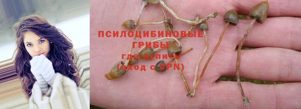 индика Абинск