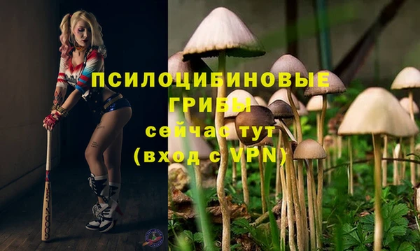 индика Абинск