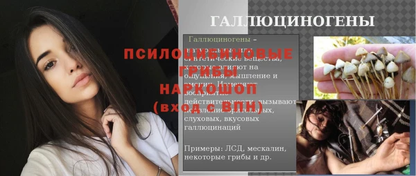 индика Абинск