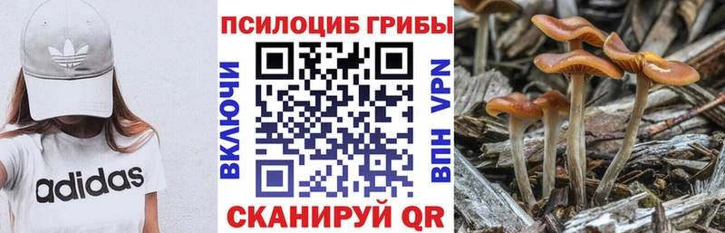 Галлюциногенные грибы Magic Shrooms  Дербент 